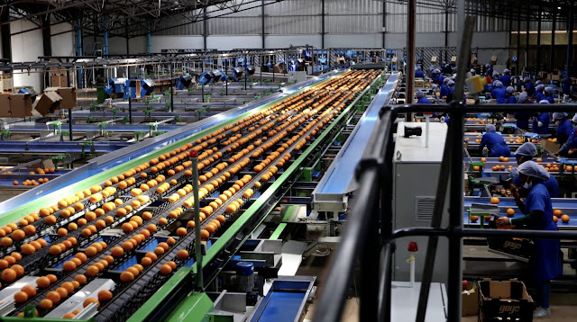 SOUTH AFRICA OPTS FOR NEGOTIATION OVER RETALIATION IN US TARIFF STANDOFF, EYES AUGUST 1 DEADLINE FOR FRAMEWORK DEAL